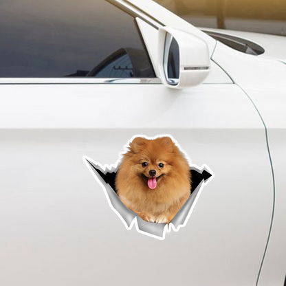 We Like Riding In Cars – Pomeranian Auto-/Tür-/Kühlschrank-/Laptop-Aufkleber V4