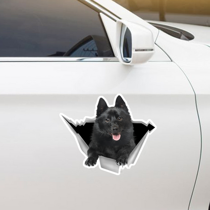 We Like Riding In Cars - Schipperke Car/ Door/ Fridge/ Laptop Sticker V1
