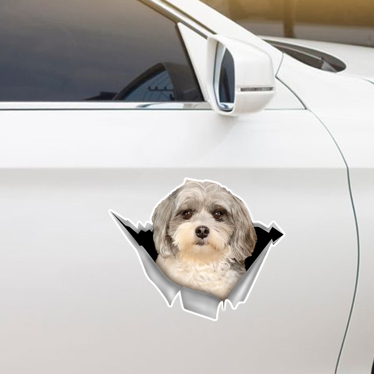 We Like Riding In Cars - Shih Tzu Sticker V3