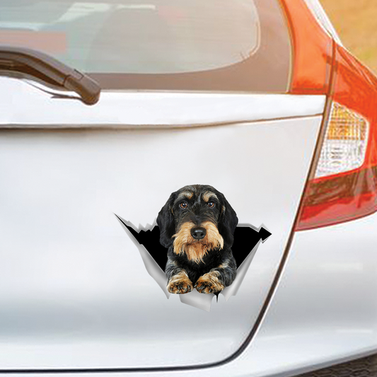 We Like Riding In Cars - Wire Haired Dachshund Car/ Door/ Fridge/ Laptop Sticker V1