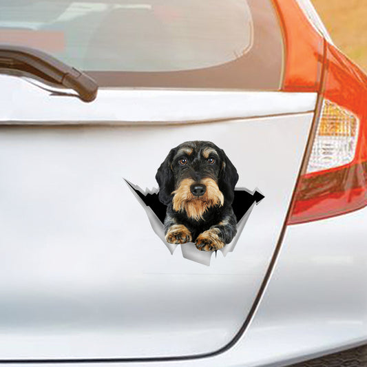 We Like Riding In Cars - Wire Haired Dachshund Car/ Door/ Fridge/ Laptop Sticker V1