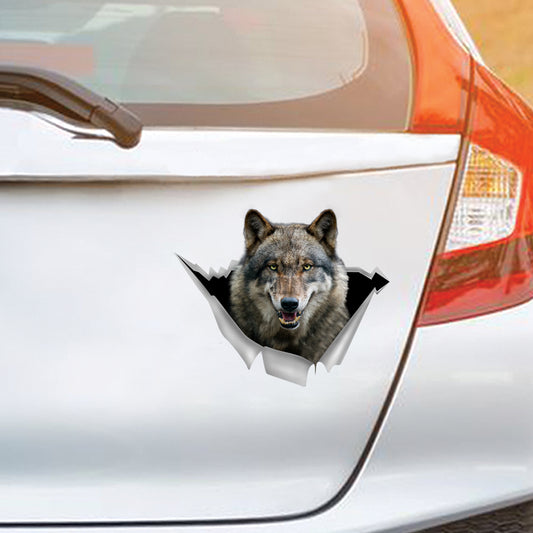 We Like Riding In Cars – Wolf Auto/Tür/Kühlschrank/Laptop Aufkleber V1