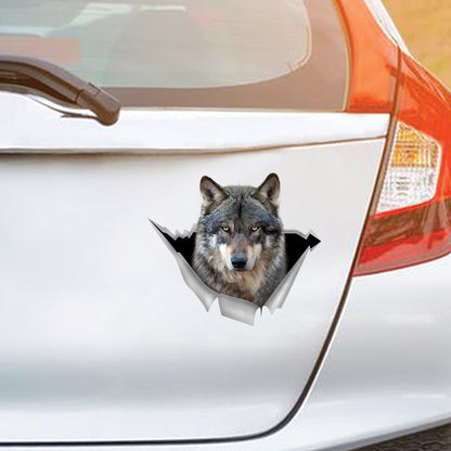 We Like Riding In Cars – Wolf Auto/Tür/Kühlschrank/Laptop Aufkleber V1
