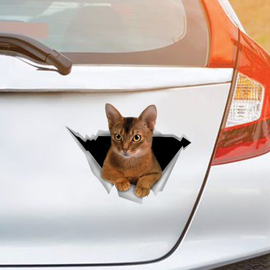 Nous aimons rouler dans les voitures - Autocollant de voiture/porte/réfrigérateur/ordinateur portable chat abyssin V1