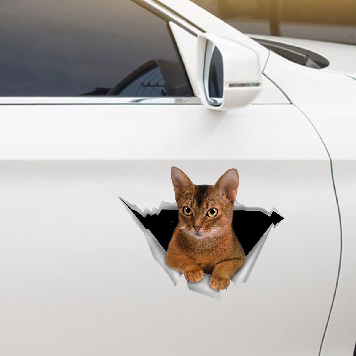 We Like Riding In Cars - Abyssinian Cat Car/ Door/ Fridge/ Laptop Sticker V1