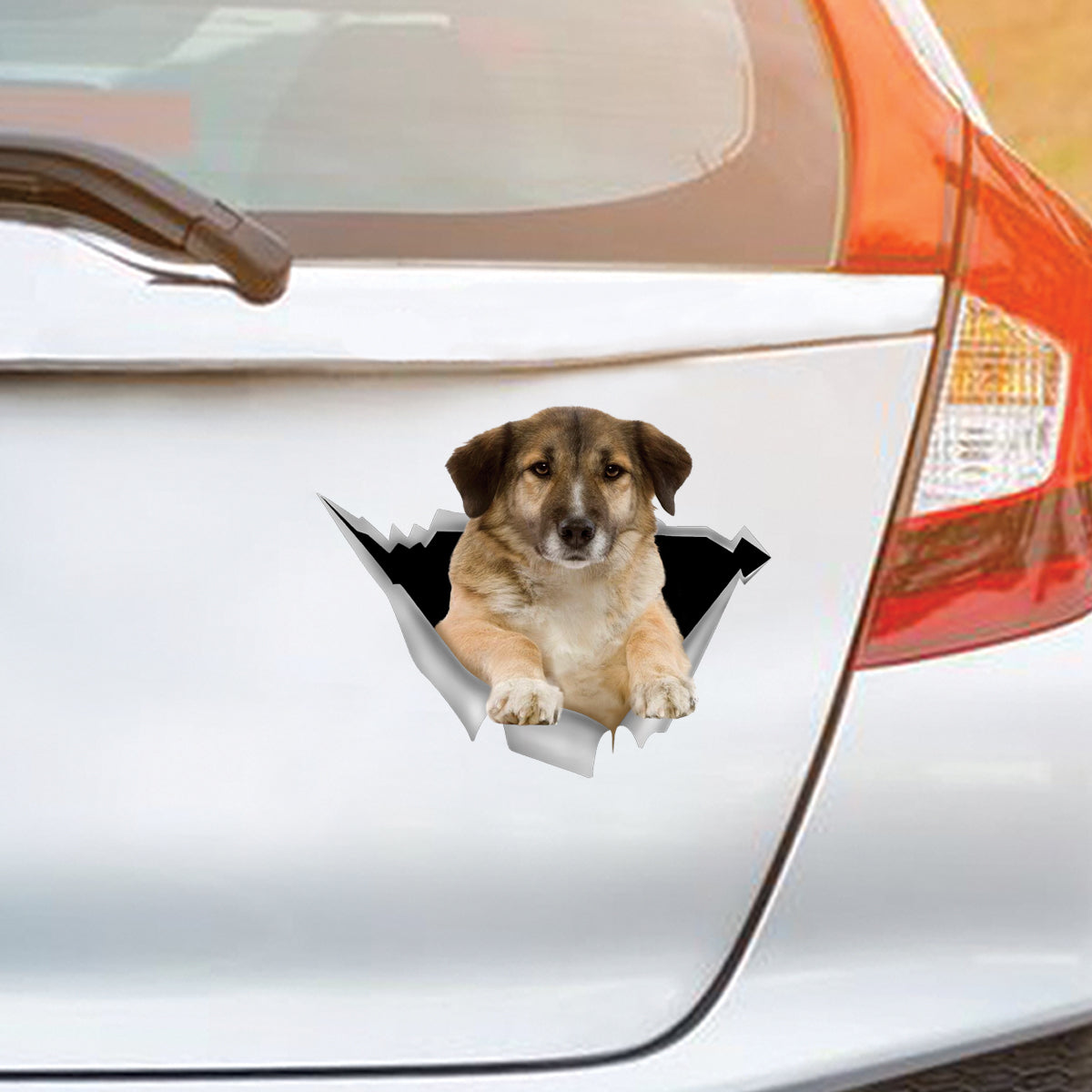 We Like Riding In Cars - Aidi Car/ Door/ Fridge/ Laptop Sticker V1