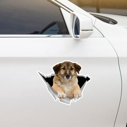 We Like Riding In Cars - Aidi Car/ Door/ Fridge/ Laptop Sticker V1