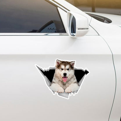 We Like Riding In Cars - Alaskan Malamute Car/ Door/ Fridge/ Laptop Sticker V1