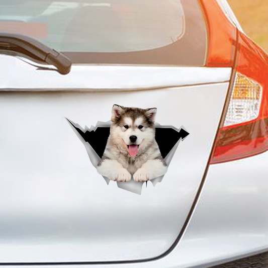We Like Riding In Cars - Alaskan Malamute Car/ Door/ Fridge/ Laptop Sticker V1