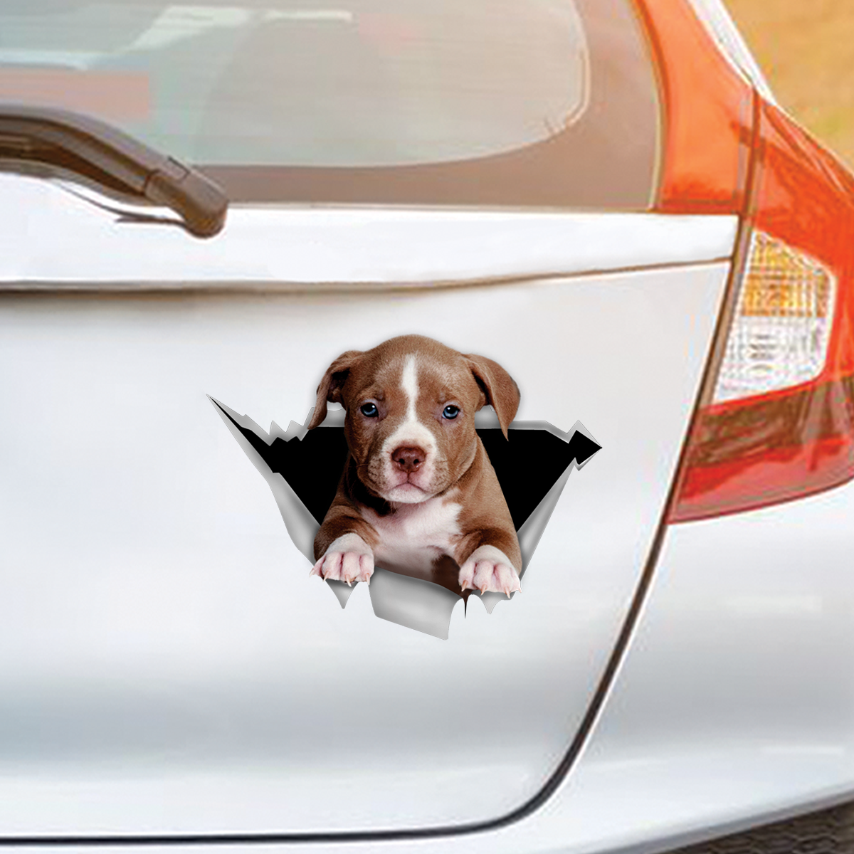 We Like Riding In Cars - American Pit Bull Terrier Car/ Door/ Fridge/ Laptop Sticker V1