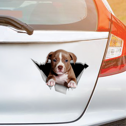 Nous aimons rouler dans les voitures - Autocollant de voiture/porte/réfrigérateur/ordinateur portable américain Pit Bull Terrier V1