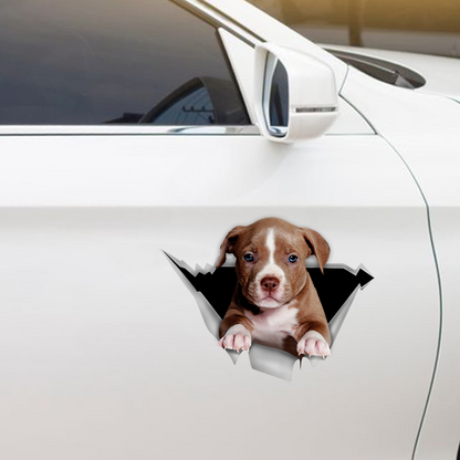 We Like Riding In Cars - American Pit Bull Terrier Car/ Door/ Fridge/ Laptop Sticker V1