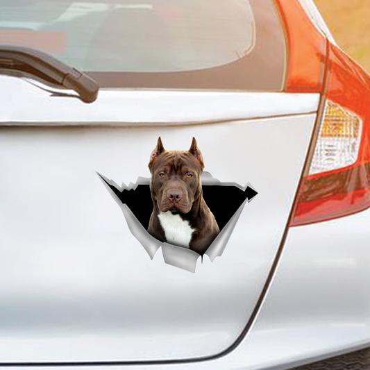 Nous aimons rouler dans les voitures - American Pit Bull Terrier Autocollant de voiture/porte/réfrigérateur/ordinateur portable V4