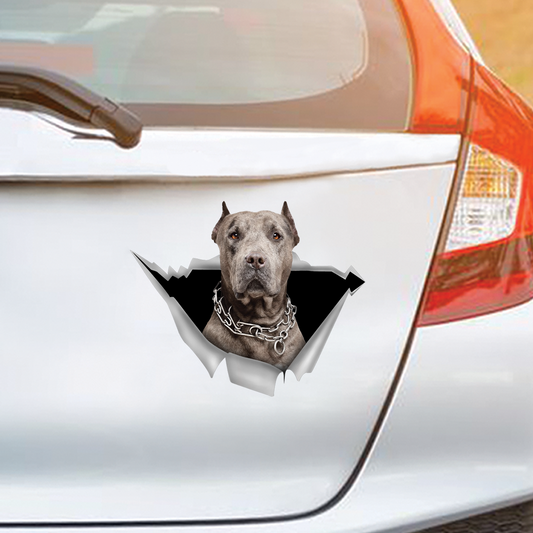 Nous aimons rouler dans les voitures - American Pit Bull Terrier Voiture / Porte / Réfrigérateur / Autocollant pour ordinateur portable V5
