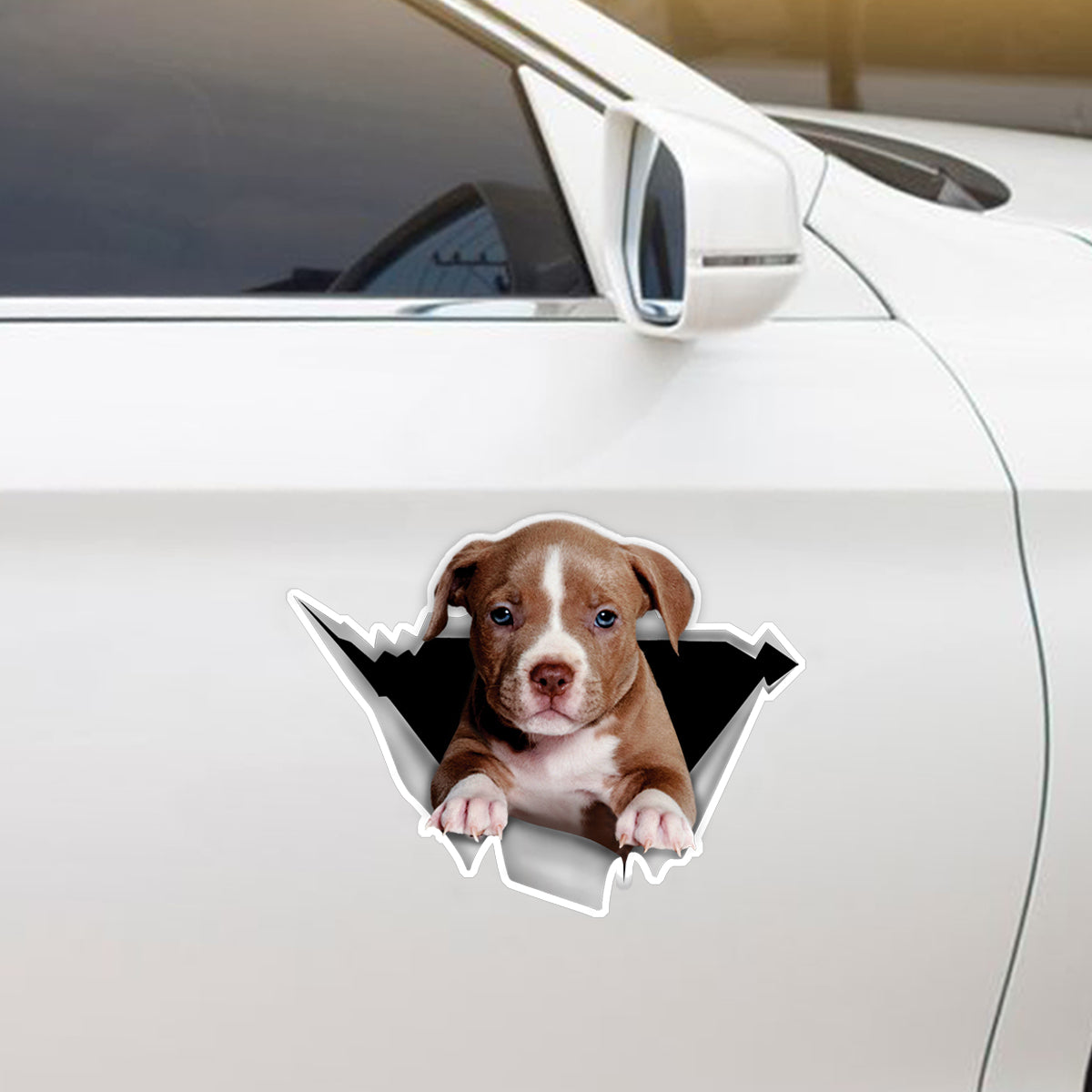 We Like Riding In Cars - American Pit Bull Terrier Car/ Door/ Fridge/ Laptop Sticker V1