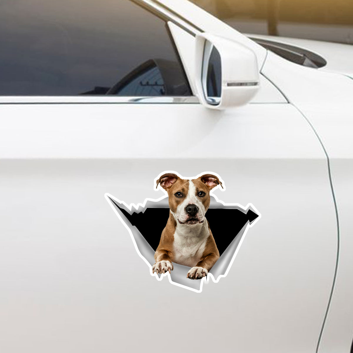Nous aimons rouler dans les voitures - American Staffordshire Terrier Autocollant de voiture/porte/réfrigérateur/ordinateur portable V3