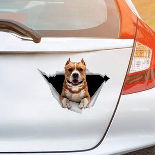 Nous aimons rouler dans les voitures - American Staffordshire Terrier Autocollant de voiture/porte/réfrigérateur/ordinateur portable V2