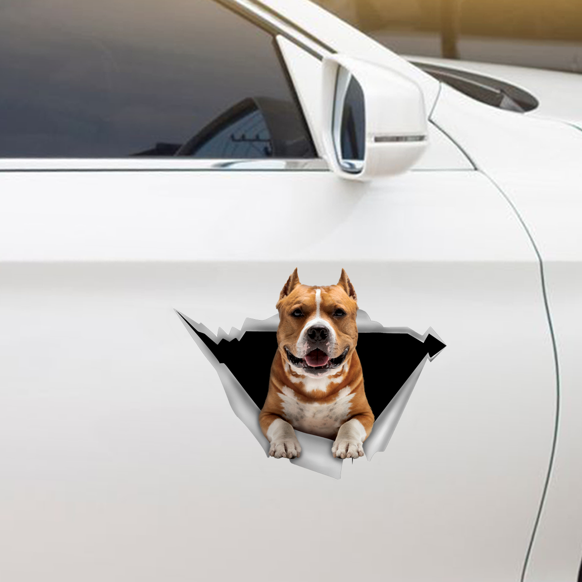 We Like Riding In Cars - American Staffordshire Terrier Car/ Door/ Fridge/ Laptop Sticker V2