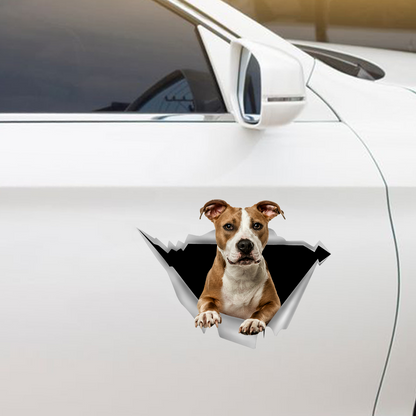 We Like Riding In Cars - American Staffordshire Terrier Car/ Door/ Fridge/ Laptop Sticker V3