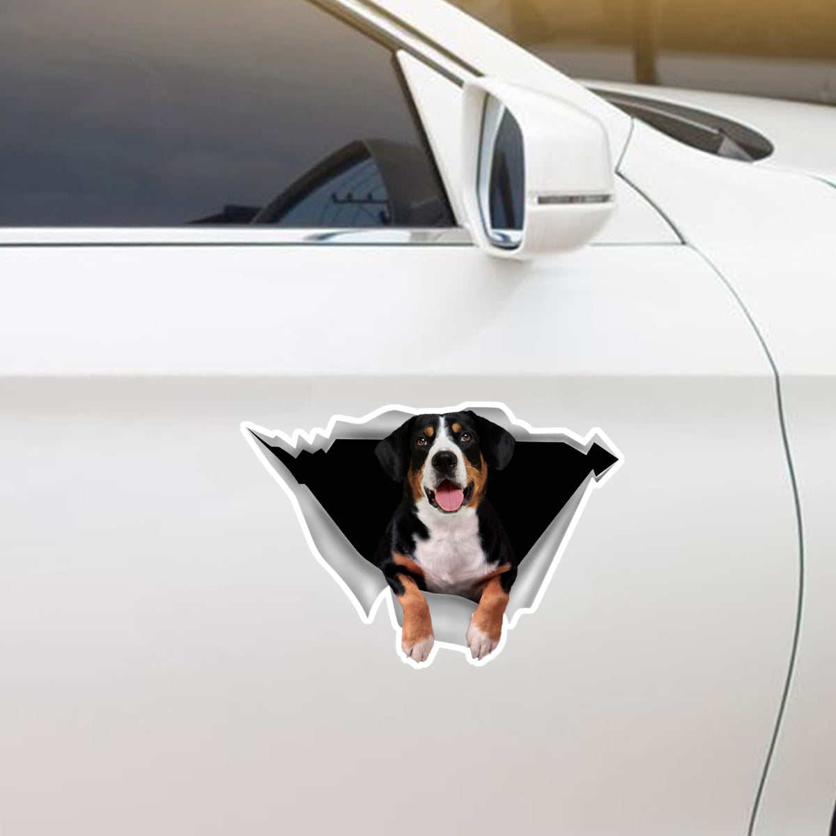 We Like Riding In Cars - Appenzeller Sennenhund Car/ Door/ Fridge/ Laptop Sticker V1