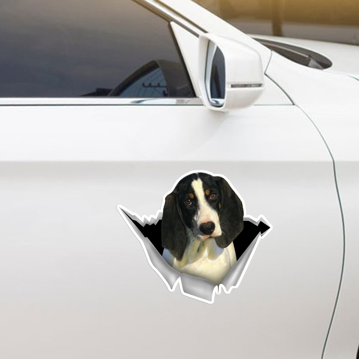 We Like Riding In Cars - Ariegeois Car/ Door/ Fridge/ Laptop Sticker V1