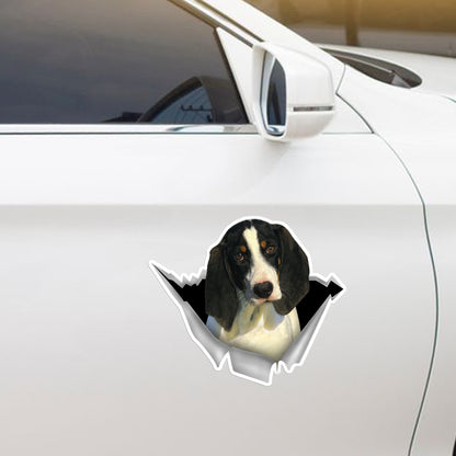 We Like Riding In Cars - Ariegeois Car/ Door/ Fridge/ Laptop Sticker V1