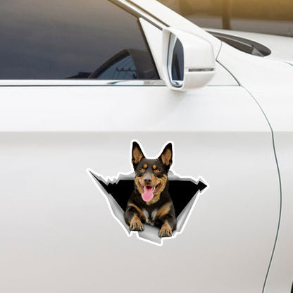 We Like Riding In Cars - Australian Kelpie Car/ Door/ Fridge/ Laptop Sticker V1