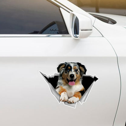 We Like Riding In Cars -  Australian Shepherd Car/ Door/ Fridge/ Laptop Sticker V1