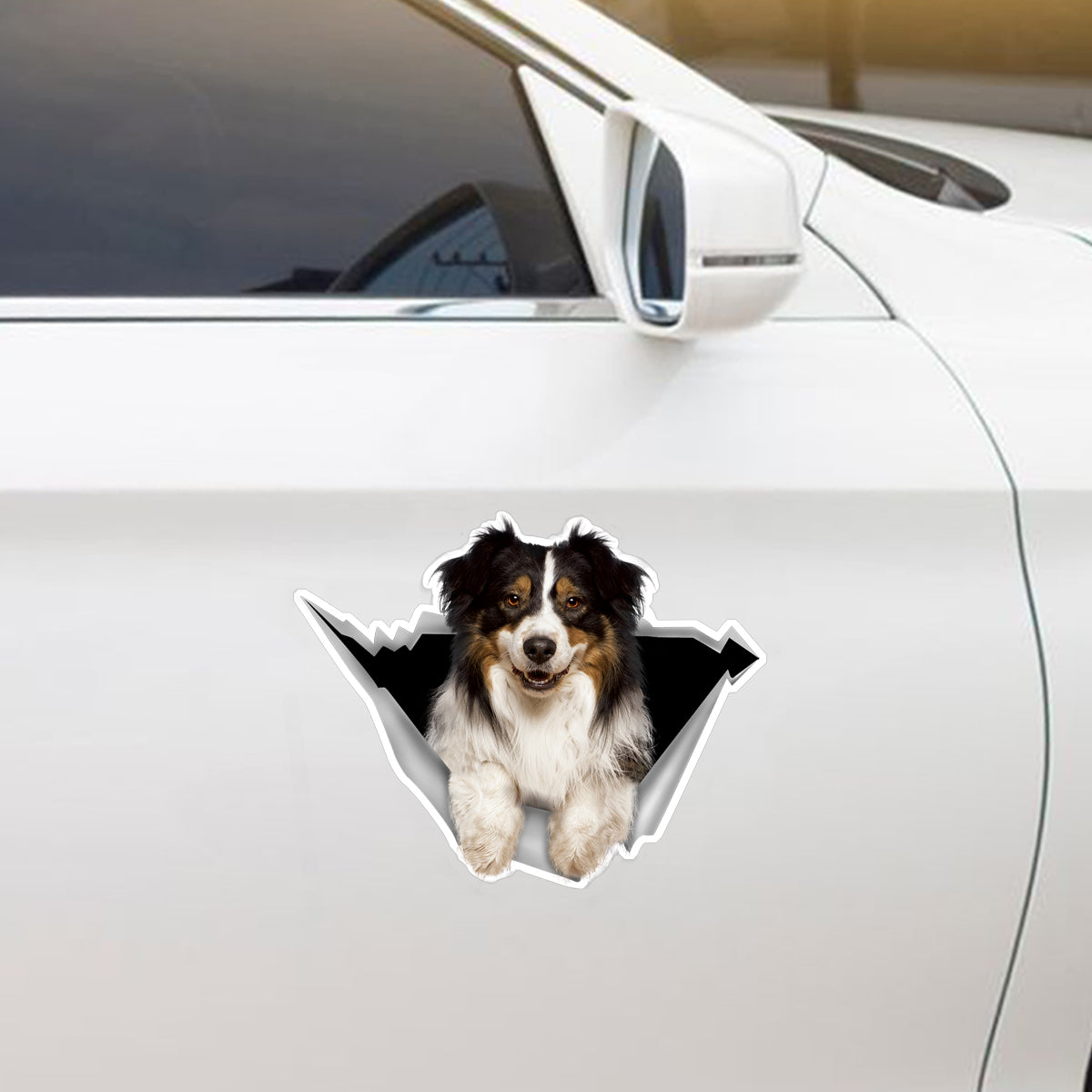 We Like Riding In Cars – Australian Shepherd Auto-/Tür-/Kühlschrank-/Laptop-Aufkleber V2
