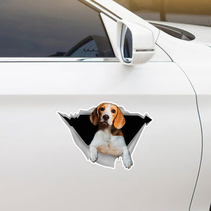 Nous aimons rouler dans les voitures - Beagle Car/ Door/ Fridge/ Laptop Sticker V1