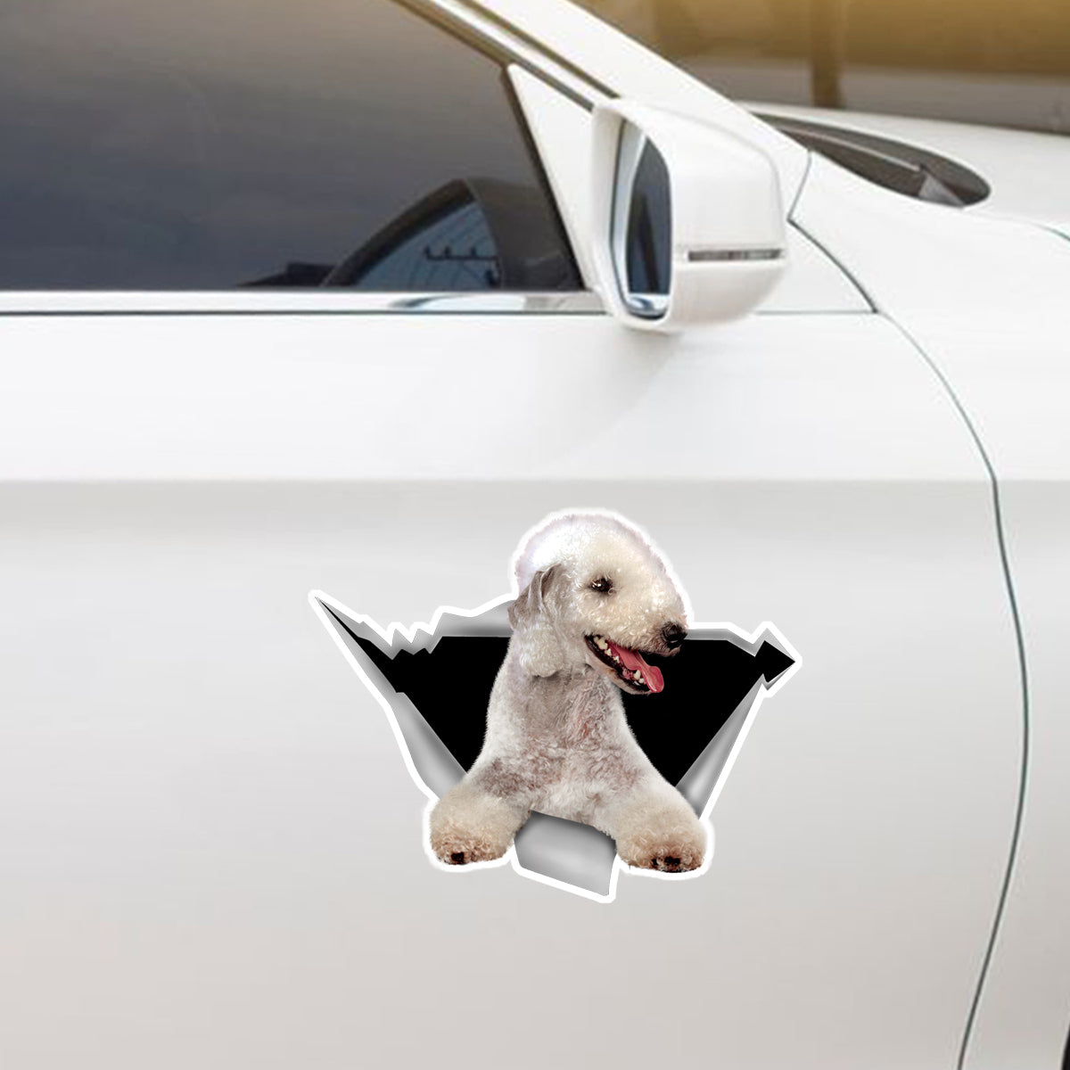 We Like Riding In Cars - Bedlington Terrier Car/ Door/ Fridge/ Laptop Sticker V1