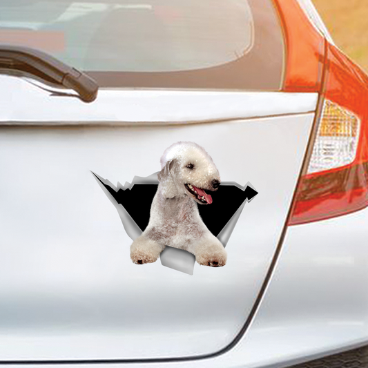 We Like Riding In Cars – Bedlington Terrier Auto-/Tür-/Kühlschrank-/Laptop-Aufkleber V1
