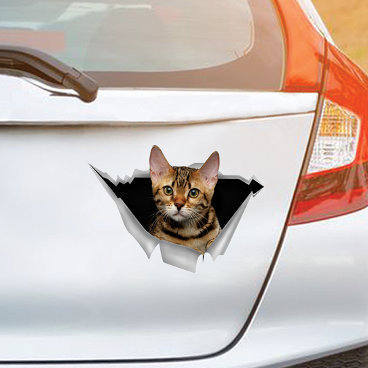 Nous aimons rouler dans les voitures - Autocollant de voiture/porte/réfrigérateur/ordinateur portable Bengal Cat V1