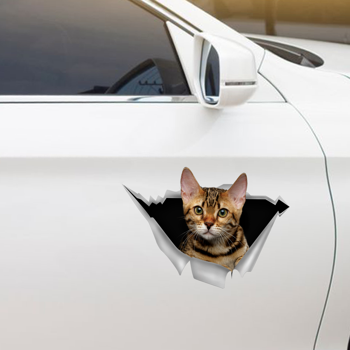 We Like Riding In Cars -  Bengal Cat Car/ Door/ Fridge/ Laptop Sticker V1