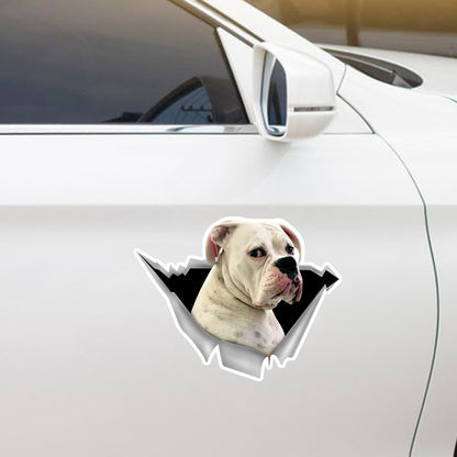We Like Riding In Cars – Boxer-Auto-/Tür-/Kühlschrank-/Laptop-Aufkleber V4