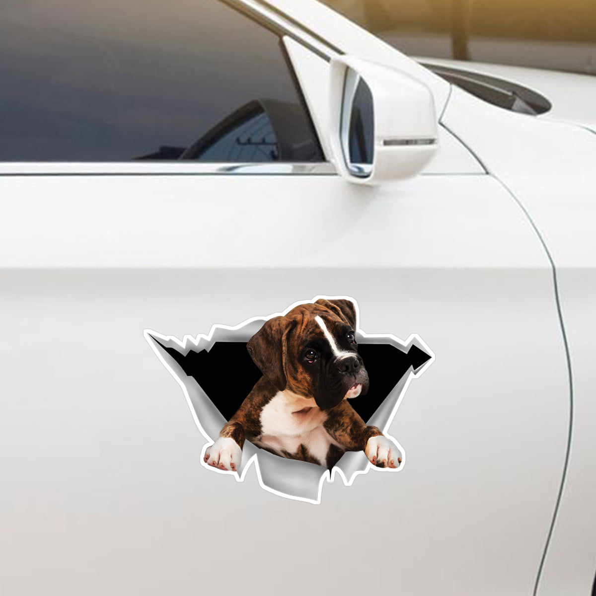 We Like Riding In Cars – Boxer-Auto-/Tür-/Kühlschrank-/Laptop-Aufkleber V1