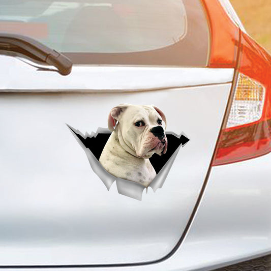 We Like Riding In Cars - Boxer Dog Car/ Door/ Fridge/ Laptop Sticker V4