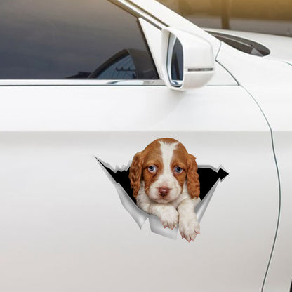 We Like Riding In Cars - Brittany Spaniel Car/ Door/ Fridge/ Laptop Sticker V2