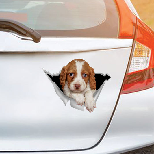 We Like Riding In Cars - Brittany Spaniel Car/ Door/ Fridge/ Laptop Sticker V2