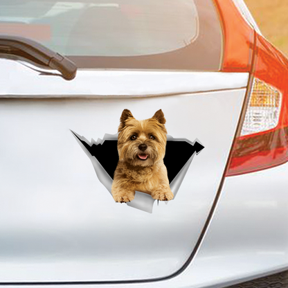 We Like Riding In Cars - Cairn Terrier Car/ Door/ Fridge/ Laptop Sticker V1
