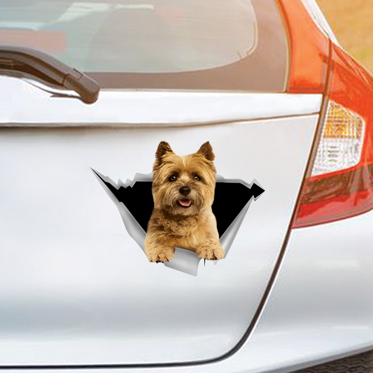 We Like Riding In Cars – Cairn Terrier Auto-/Tür-/Kühlschrank-/Laptop-Aufkleber V1