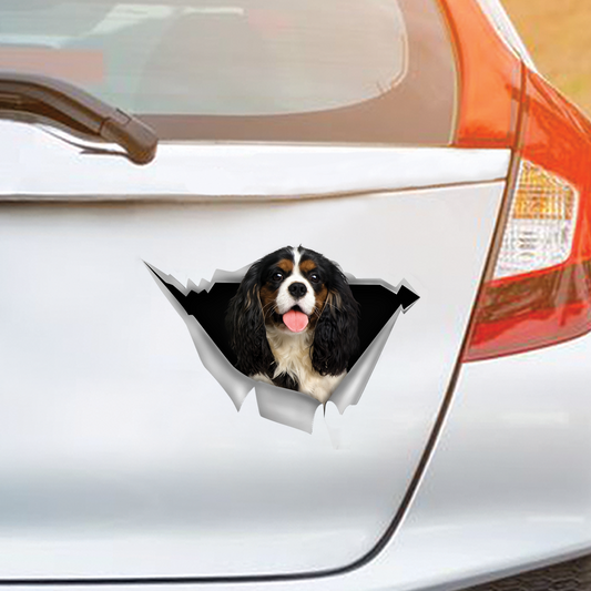 We Like Riding In Cars - Cavalier King Charles Spaniel Car/ Door/ Fridge/ Laptop Sticker V6