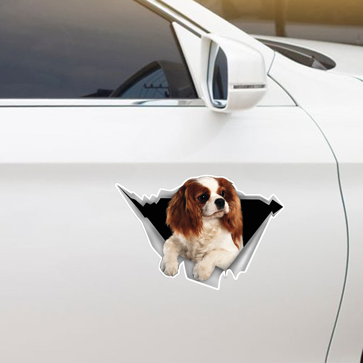 We Like Riding In Cars - Cavalier King Charles Spaniel Car/ Door/ Fridge/ Laptop Sticker V1