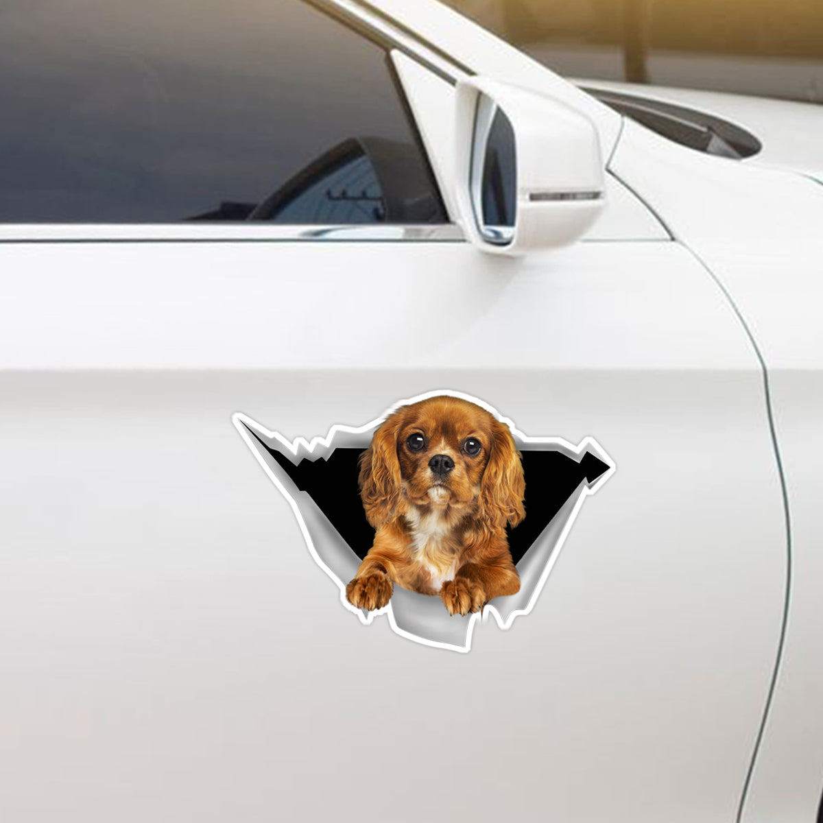 We Like Riding In Cars - Cavalier King Charles Spaniel Car/ Door/ Fridge/ Laptop Sticker V3