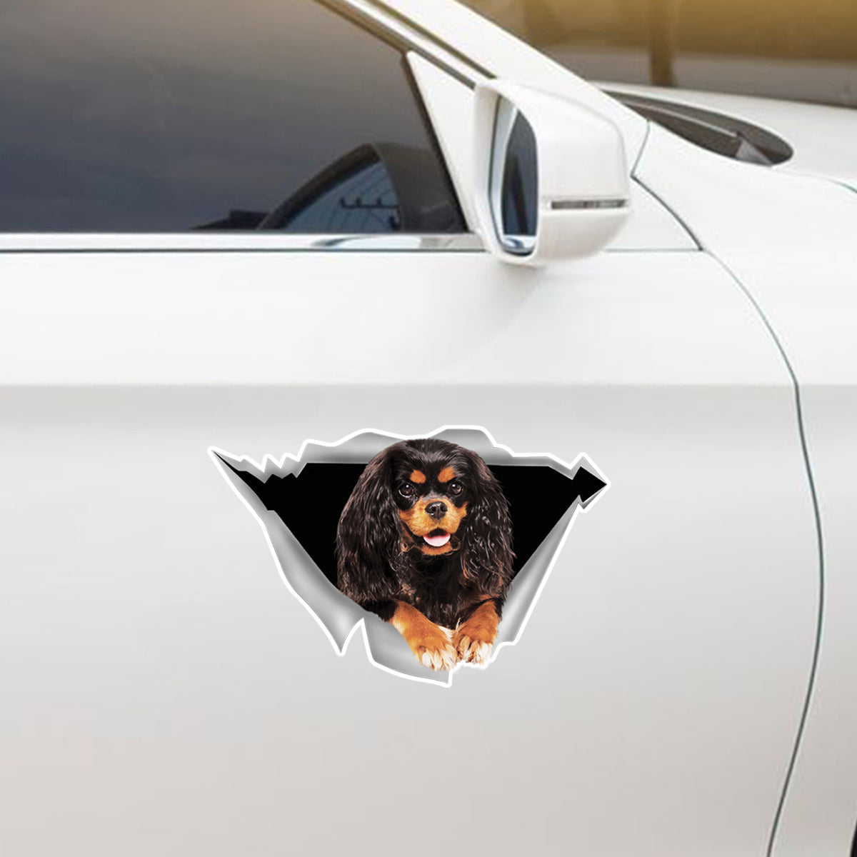 Wir fahren gerne im Auto – Cavalier King Charles Spaniel Aufkleber für Auto/Tür/Kühlschrank/Laptop V4
