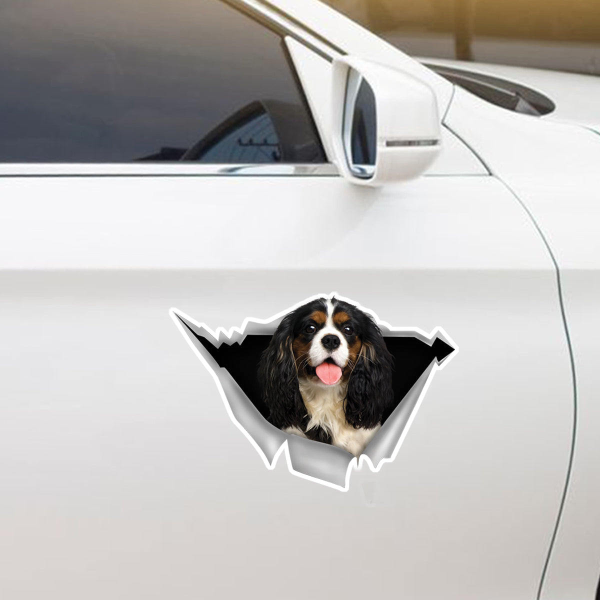 We Like Riding In Cars - Cavalier King Charles Spaniel Car/ Door/ Fridge/ Laptop Sticker V6