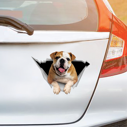 We Like Riding In Cars - English Bulldog Car/ Door/ Fridge/ Laptop Sticker V1