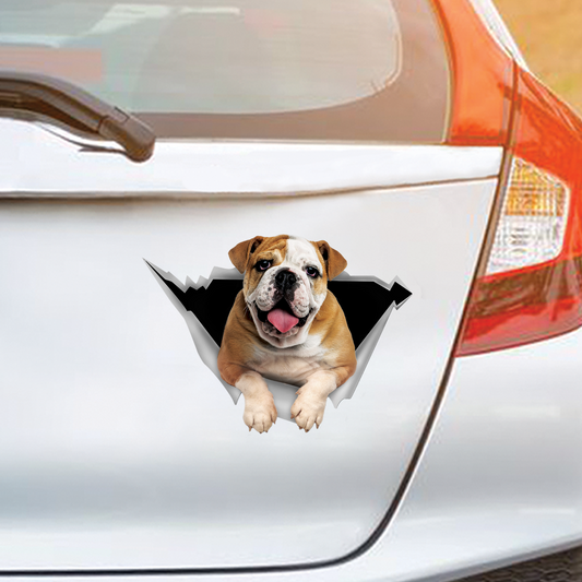 We Like Riding In Cars - Englische Bulldogge Auto-/Tür-/Kühlschrank-/Laptop-Aufkleber V1