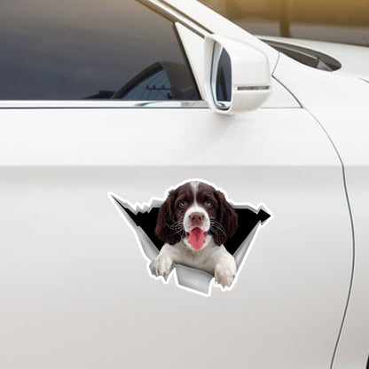 We Like Riding In Cars -  English Springer Spaniel Car/ Door/ Fridge/ Laptop Sticker V1