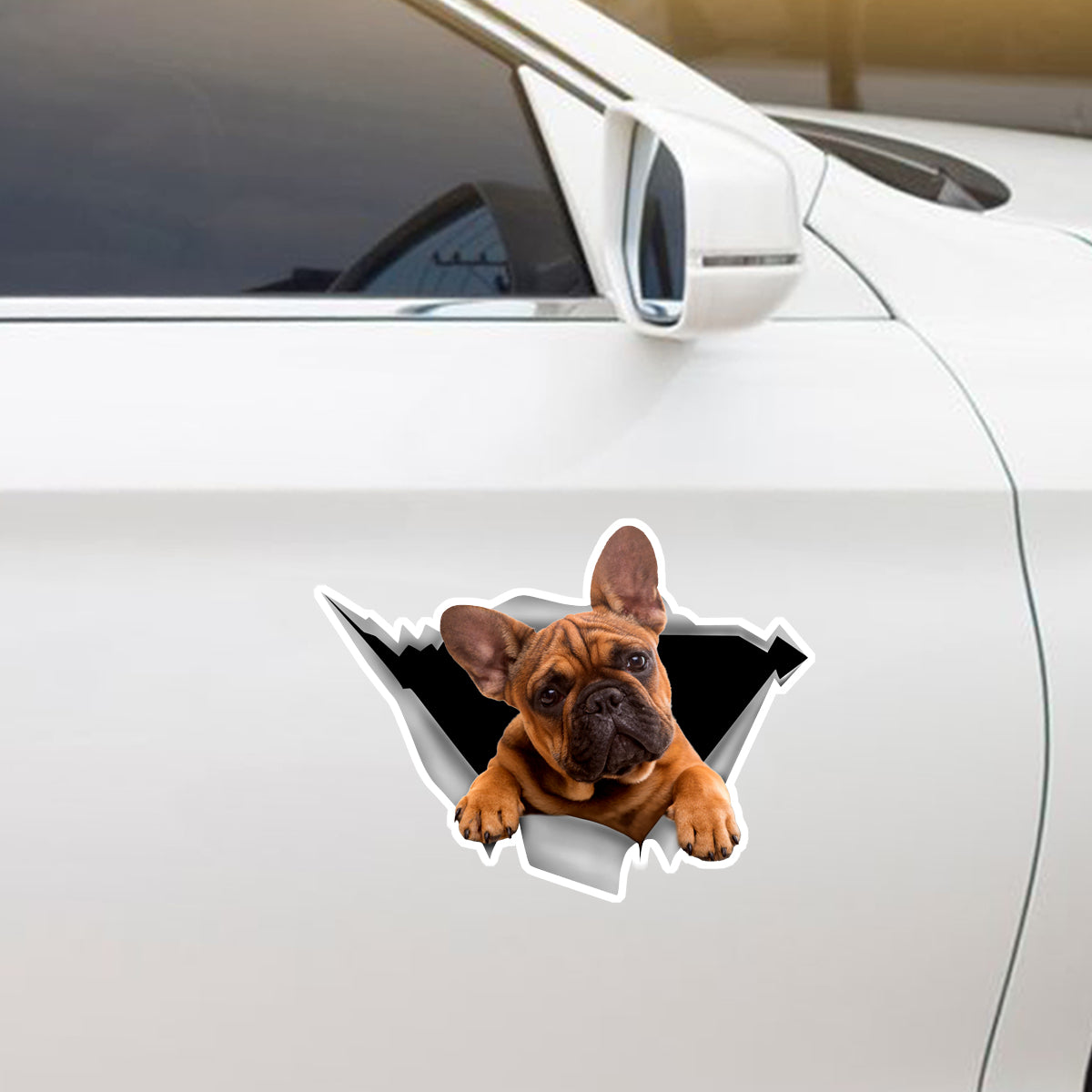 We Like Riding In Cars -  French Bulldog Car/ Door/ Fridge/ Laptop Sticker V1
